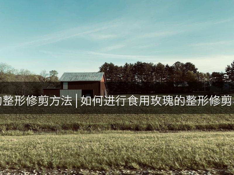 食用玫瑰的整形修剪方法 | 如何进行食用玫瑰的整形修剪与技巧要点(图1)
