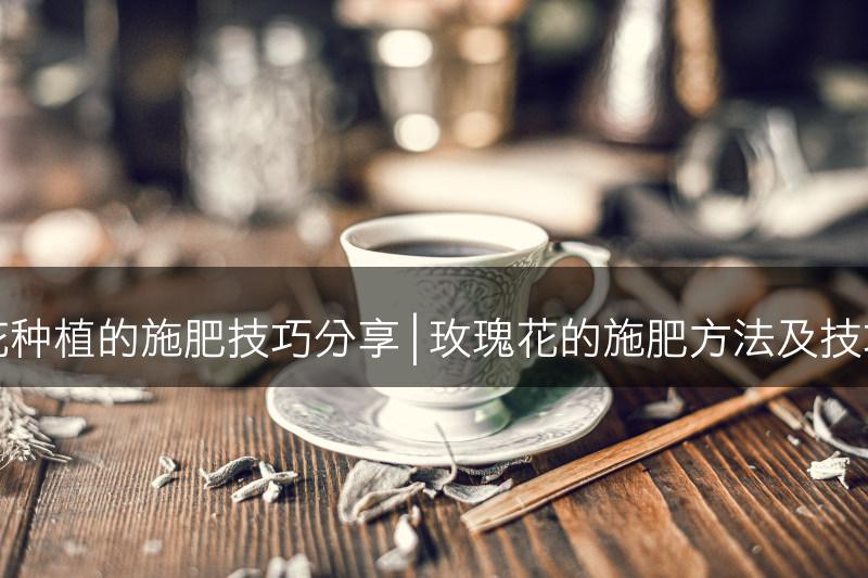 玫瑰花种植的施肥技巧分享 | 玫瑰花的施肥方法及技巧分享(图1)