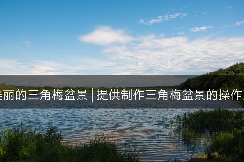 指南制作美丽的三角梅盆景 | 提供制作三角梅盆景的操作要点和技巧(图1)