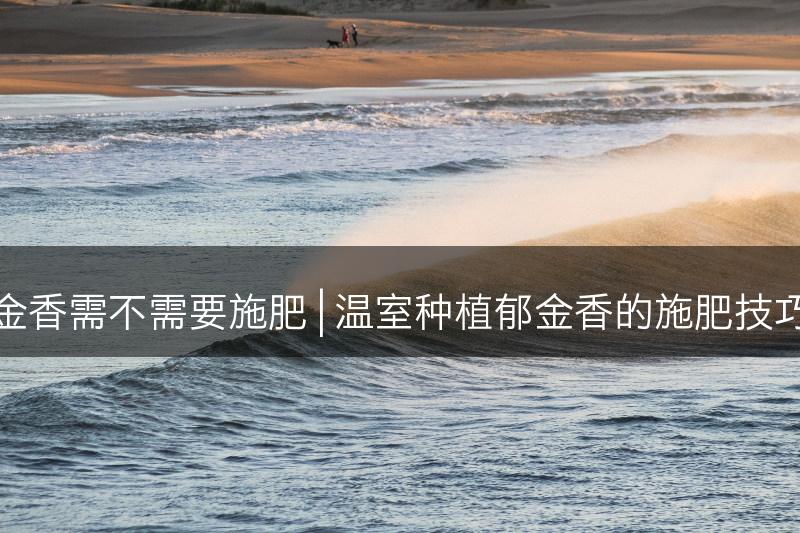 温室种植郁金香需不需要施肥 | 温室种植郁金香的施肥技巧与注意事项(图1)
