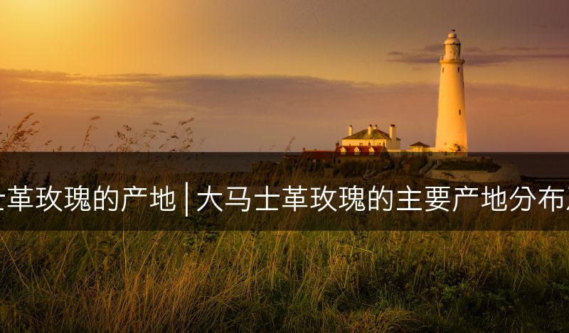 分布分析大马士革玫瑰的产地 | 大马士革玫瑰的主要产地分布及生长环境分析(图1)