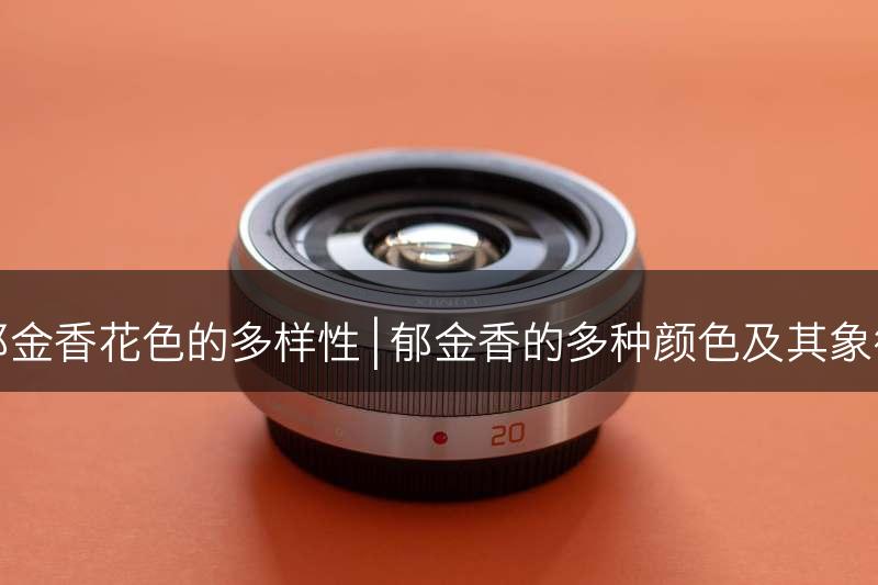 探索郁金香花色的多样性 | 郁金香的多种颜色及其象征意义(图1)