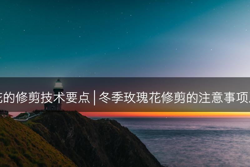 冬季玫瑰花的修剪技术要点 | 冬季玫瑰花修剪的注意事项及技巧分享(图1)