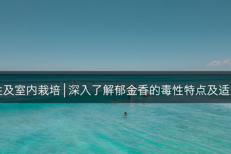 了解郁金香的毒性及室内栽培 | 深入了解郁金香的毒性特点及适宜的室内栽培方法(图1)