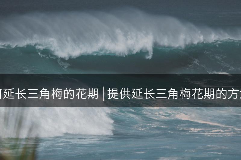 探讨如何延长三角梅的花期 | 提供延长三角梅花期的方法和技巧(图1)
