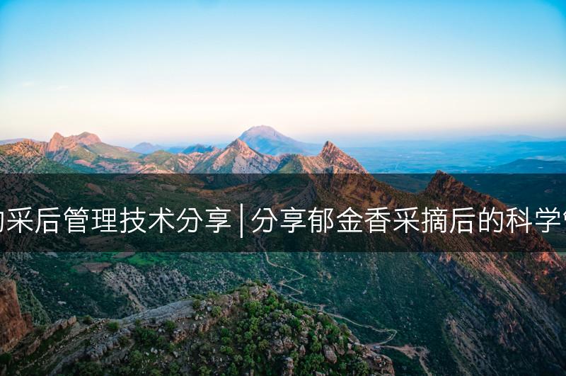 郁金香的采后管理技术分享 | 分享郁金香采摘后的科学管理方法(图1)