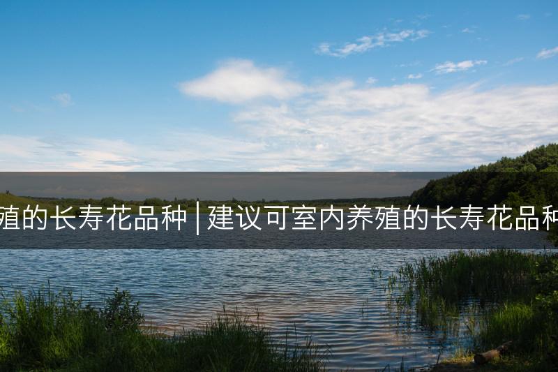 室内适宜养殖的长寿花品种 | 建议可室内养殖的长寿花品种及开花季节(图1)