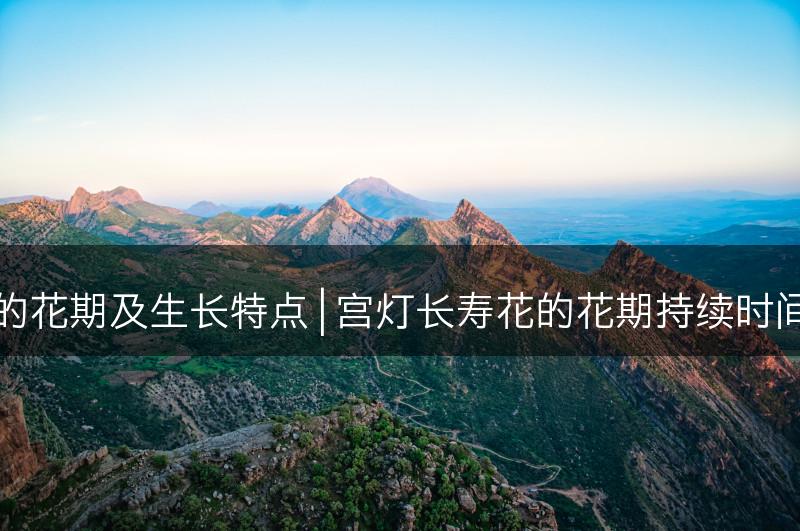 宫灯长寿花的花期及生长特点 | 宫灯长寿花的花期持续时间及生长特点(图1)