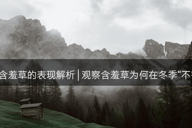 冬季含羞草的表现解析 | 观察含羞草为何在冬季“不害羞”(图1)