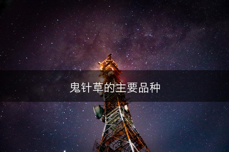 鬼针草的主要品种(图1)