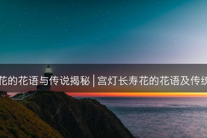 宫灯长寿花的花语与传说揭秘 | 宫灯长寿花的花语及传统故事传承(图1)