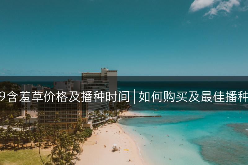 2019含羞草价格及播种时间 | 如何购买及最佳播种时间(图1) 2019含羞草价格及播种时间 | 如何购买及最佳播种时间(图1)