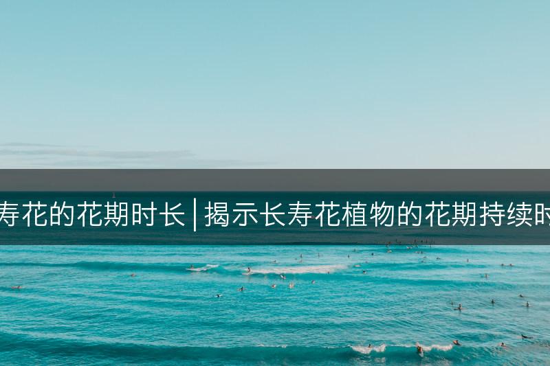 长寿花的花期时长 | 揭示长寿花植物的花期持续时间(图1)