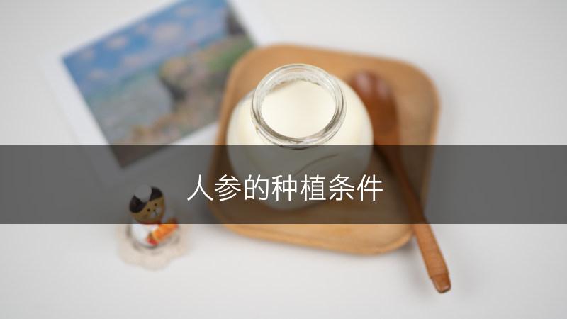 人参的种植条件(图1)