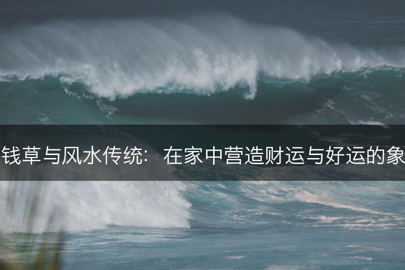 铜钱草与风水传统:在家中营造财运与好运的象征(图1) 铜钱草与风水传统:在家中营造财运与好运的象征(图1)