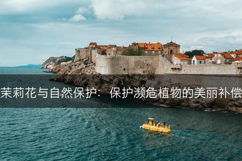 茉莉花与自然保护：保护濒危植物的美丽补偿(图1)