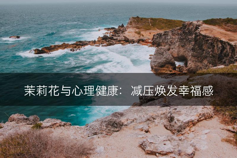 茉莉花与心理健康：减压焕发幸福感(图1)
