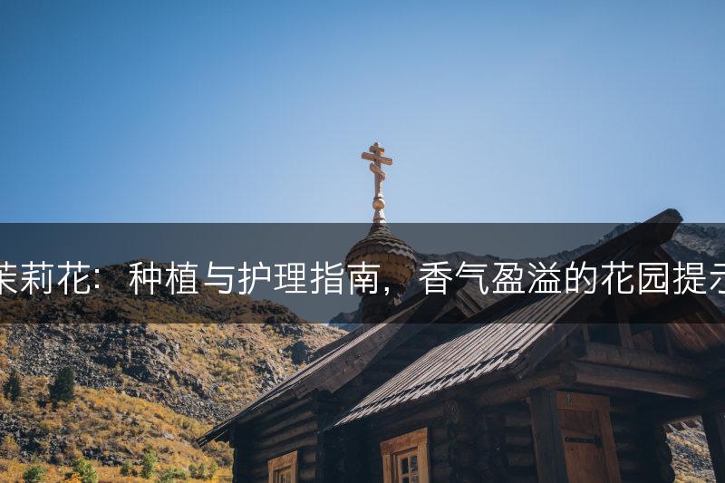茉莉花：种植与护理指南，香气盈溢的花园提示(图1)