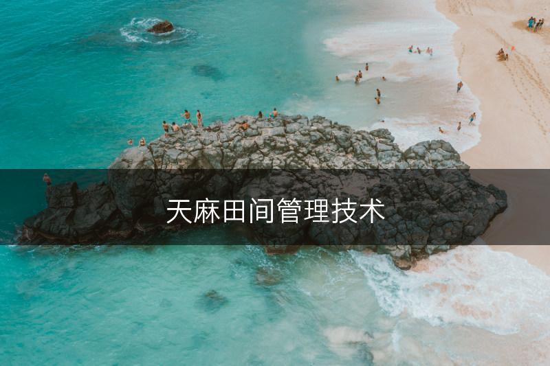 天麻田间管理技术(图1)