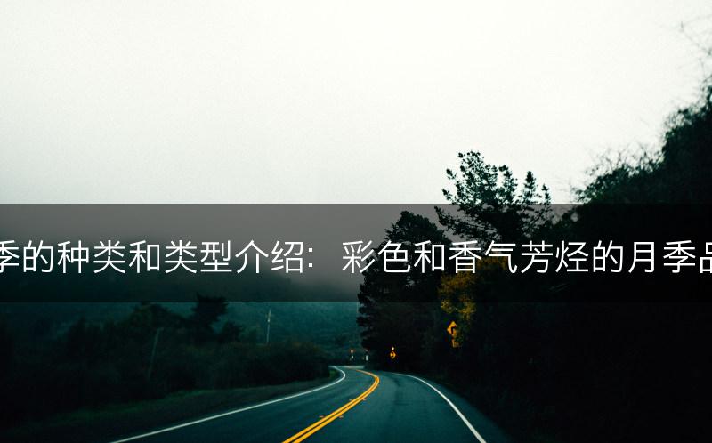 月季的种类和类型介绍：彩色和香气芳烃的月季品种(图1)