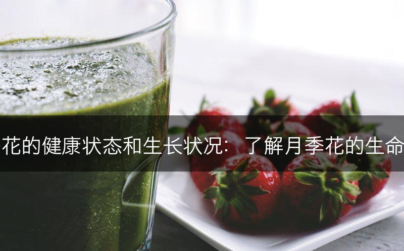 如何评估月季花的健康状态和生长状况：了解月季花的生命力和发展前景(图1)