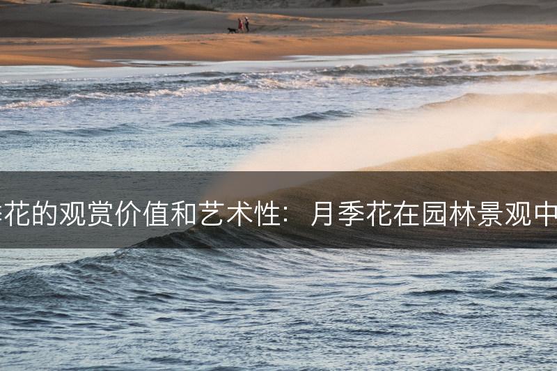 了解月季花的观赏价值和艺术性：月季花在园林景观中的表现力(图1)