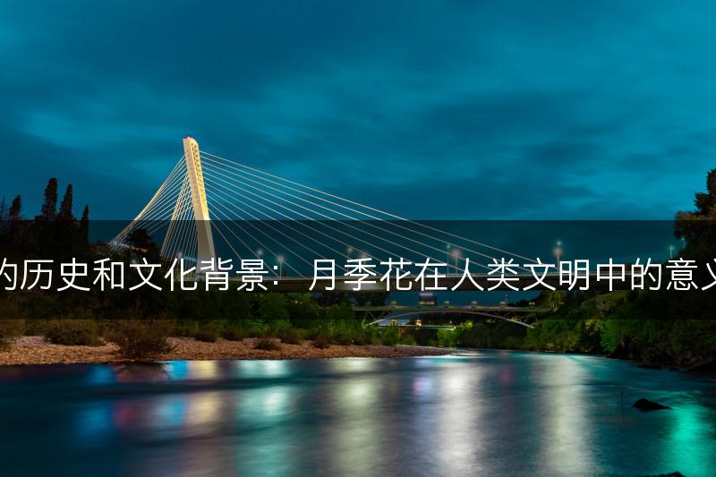 月季花的历史和文化背景：月季花在人类文明中的意义和传承(图1)