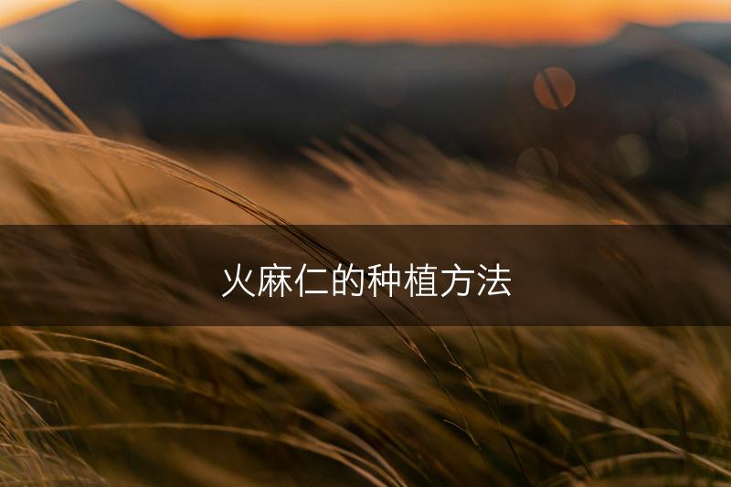 火麻仁的种植方法(图1)