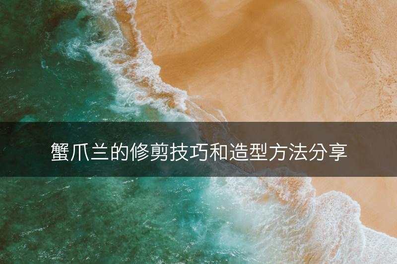 蟹爪兰的修剪技巧和造型方法分享(图1)