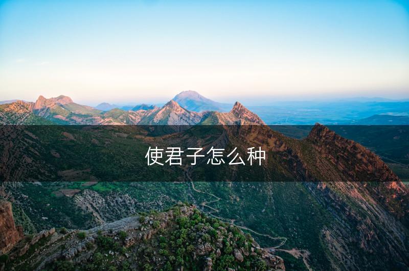 使君子怎么种(图1)
