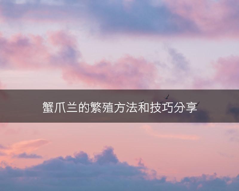 蟹爪兰的繁殖方法和技巧分享(图1)