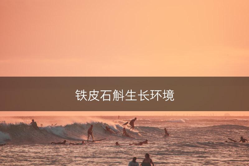 铁皮石斛生长环境(图1)