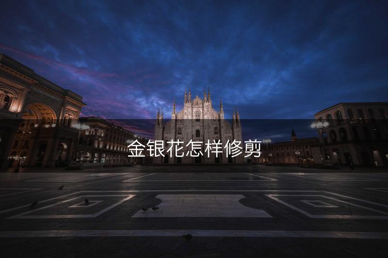 金银花怎样修剪(图1)