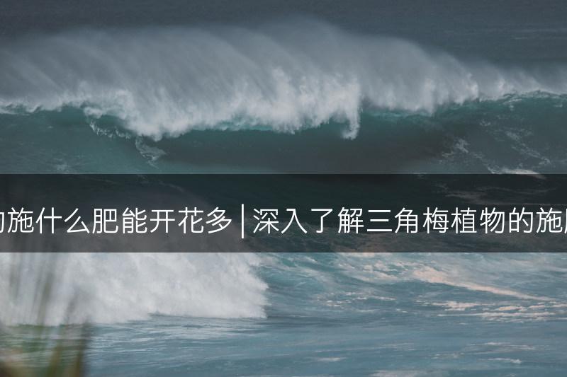 探究三角梅的施什么肥能开花多 | 深入了解三角梅植物的施肥方法及技巧(图1)