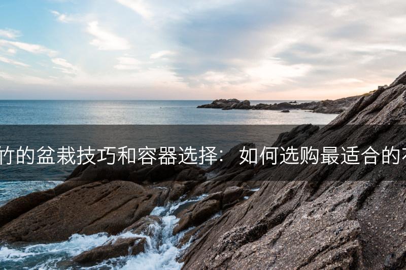 富贵竹的盆栽技巧和容器选择：如何选购最适合的花盆？(图1)