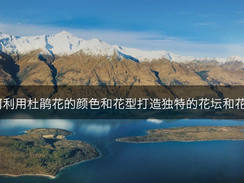 如何利用杜鹃花的颜色和花型打造独特的花坛和花圃？(图1)