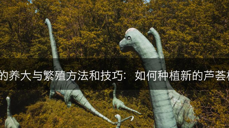 芦荟的养大与繁殖方法和技巧：如何种植新的芦荟植株？(图1)
