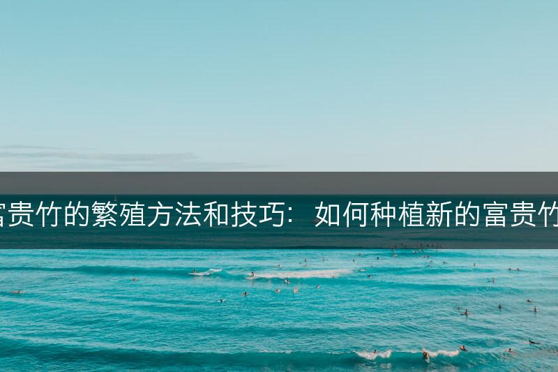 富贵竹的繁殖方法和技巧：如何种植新的富贵竹？(图1)