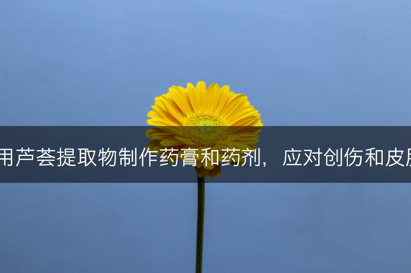 如何利用芦荟提取物制作药膏和药剂，应对创伤和皮肤炎症？(图1)