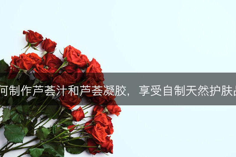 如何制作芦荟汁和芦荟凝胶，享受自制天然护肤品？(图1)
