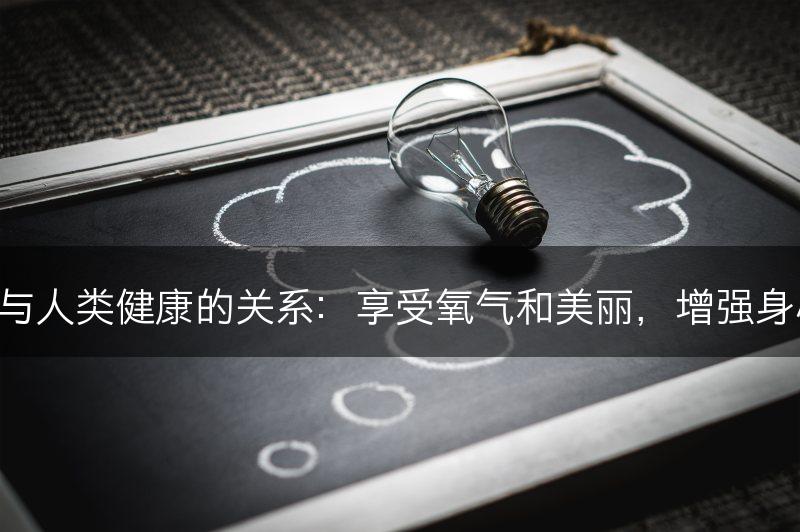 富贵竹与人类健康的关系：享受氧气和美丽，增强身心健康！(图1)