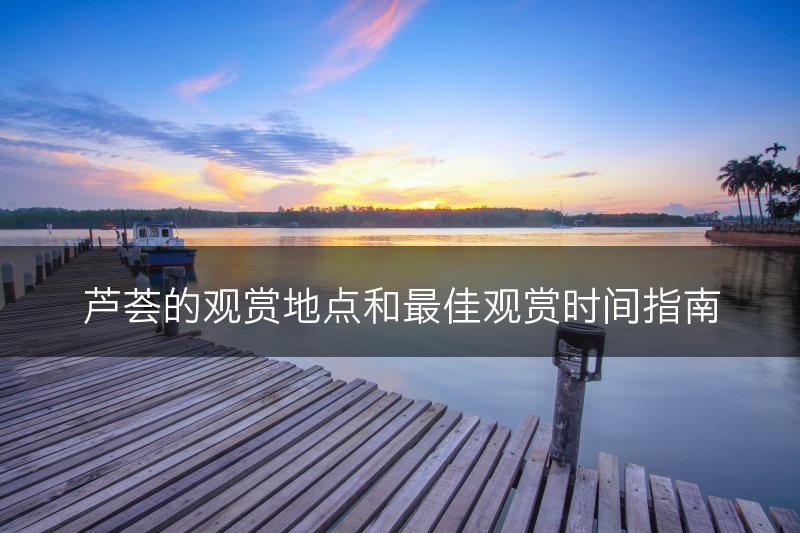 芦荟的观赏地点和最佳观赏时间指南(图1)