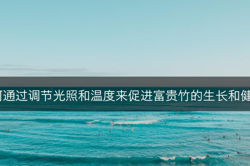 如何通过调节光照和温度来促进富贵竹的生长和健康？(图1)