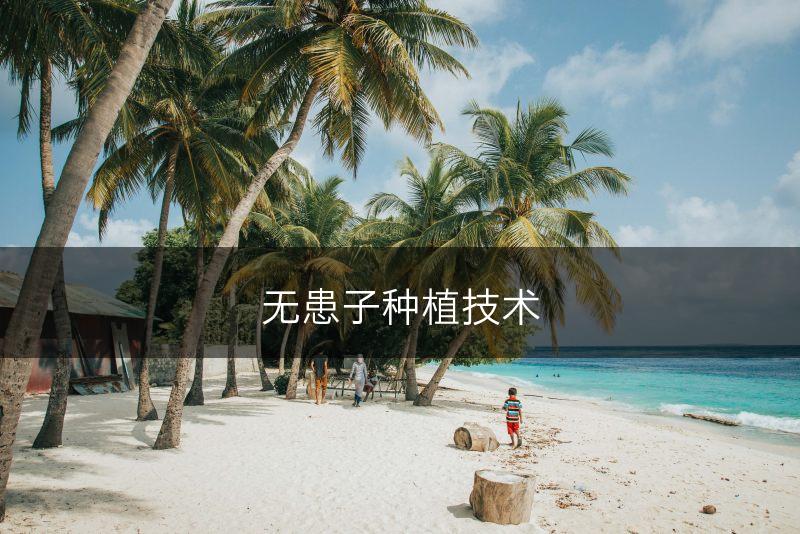 无患子种植技术(图1)