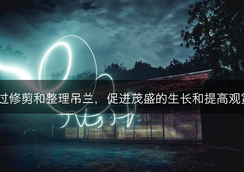 如何通过修剪和整理吊兰，促进茂盛的生长和提高观赏价值？(图1)