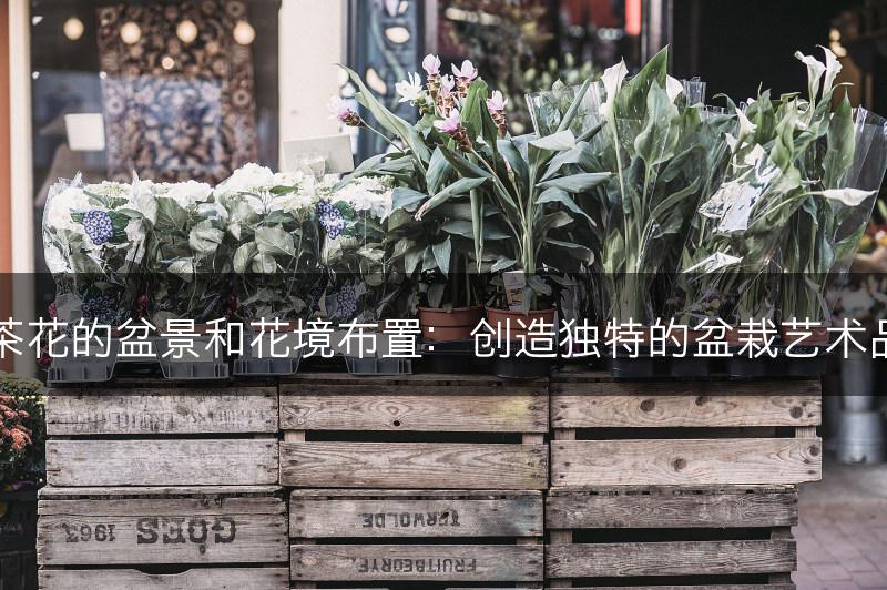茶花的盆景和花境布置：创造独特的盆栽艺术品(图1)
