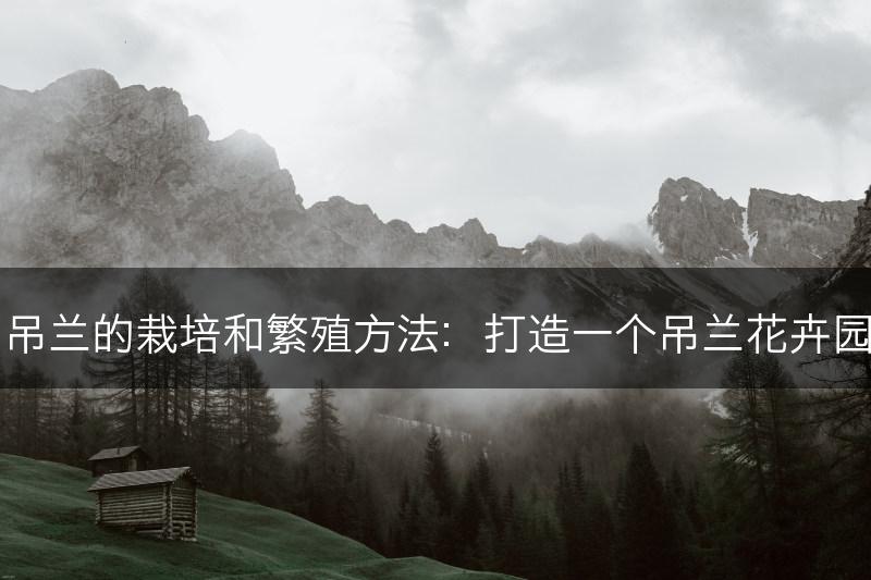 吊兰的栽培和繁殖方法：打造一个吊兰花卉园(图1)