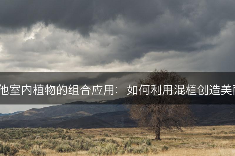 吊兰与其他室内植物的组合应用：如何利用混植创造美丽的花园？(图1)