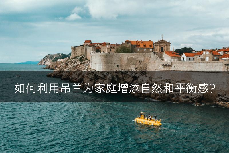 如何利用吊兰为家庭增添自然和平衡感？(图1)