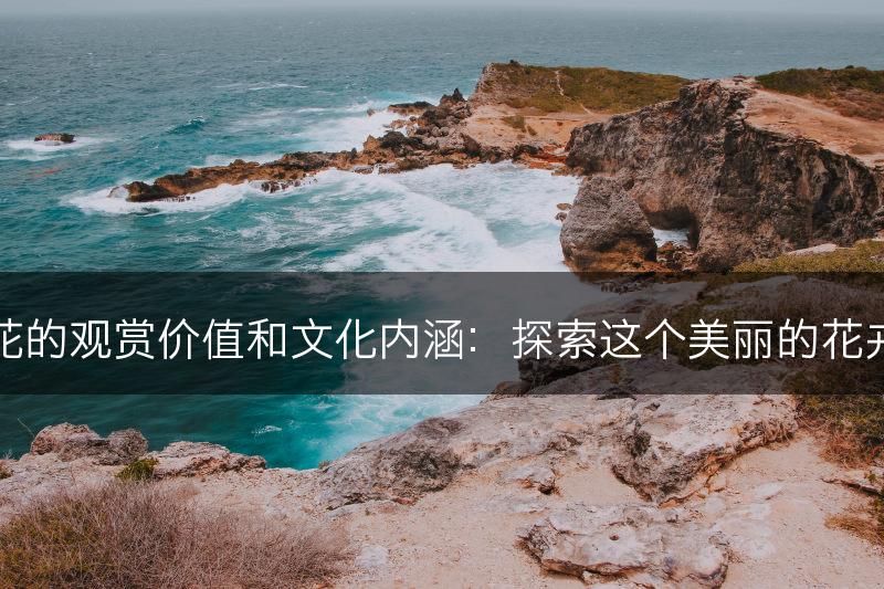 杜鹃花的观赏价值和文化内涵：探索这个美丽的花卉之王(图1)